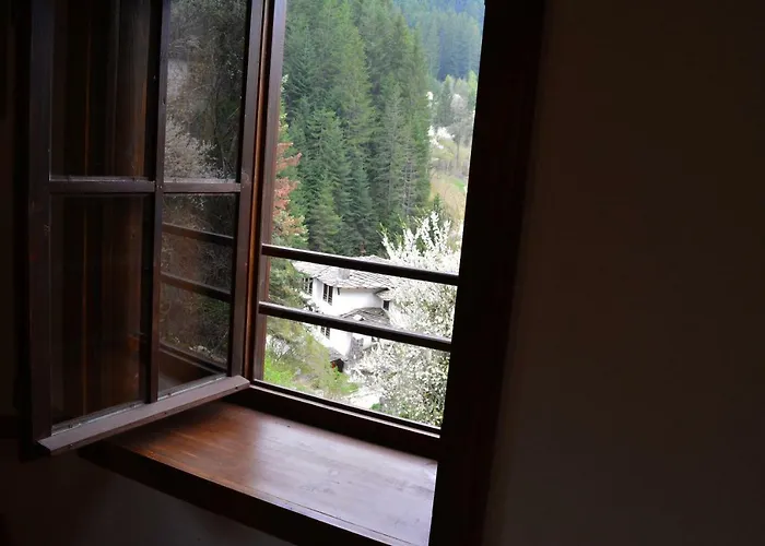 гайтана 3* Широка лъка