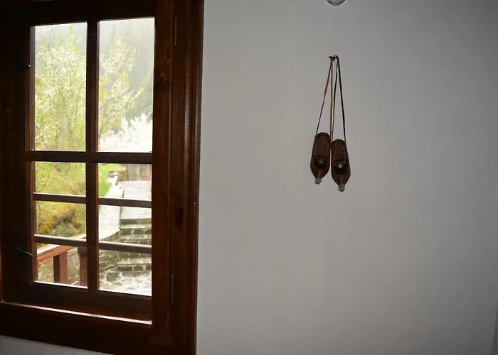 гайтана 3* Широка лъка